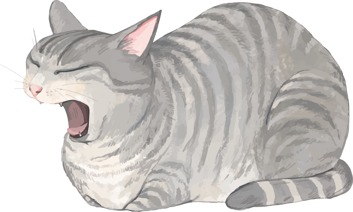 猫(トラ柄の雑種ミックス)あくびして眠そうリアル無料フリーイラスト83282に写真・文字を入れる