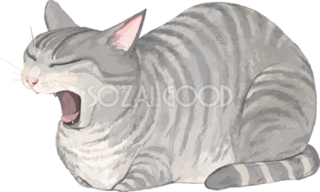 猫(トラ柄の雑種ミックス)あくびして眠そうリアル無料フリーイラスト83282