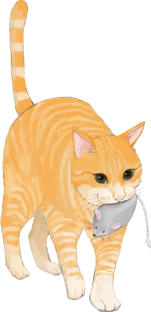猫(トラ柄の雑種ミックス)おもちゃを咥えて遊ぶリアル無料フリーイラスト83284