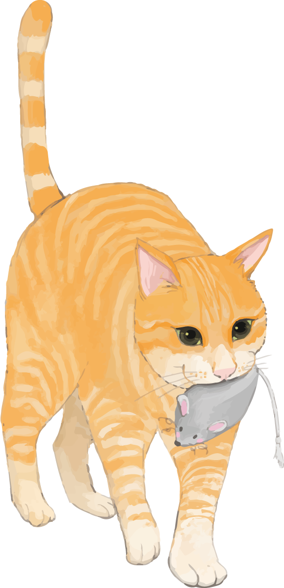 猫(トラ柄の雑種ミックス)おもちゃを咥えて遊ぶリアル無料フリーイラスト83284に写真・文字を入れる