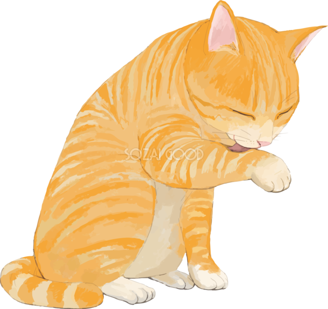 最も共有された 猫 トラ イラスト 私の愛