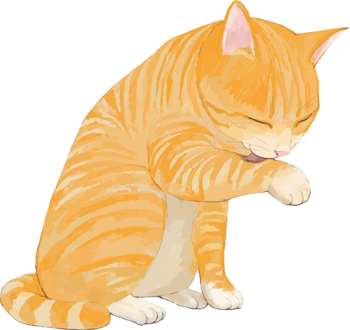 猫(トラ柄の雑種ミックス)お座りしながら毛づくろいリアル無料フリーイラスト83285に写真・文字を入れる