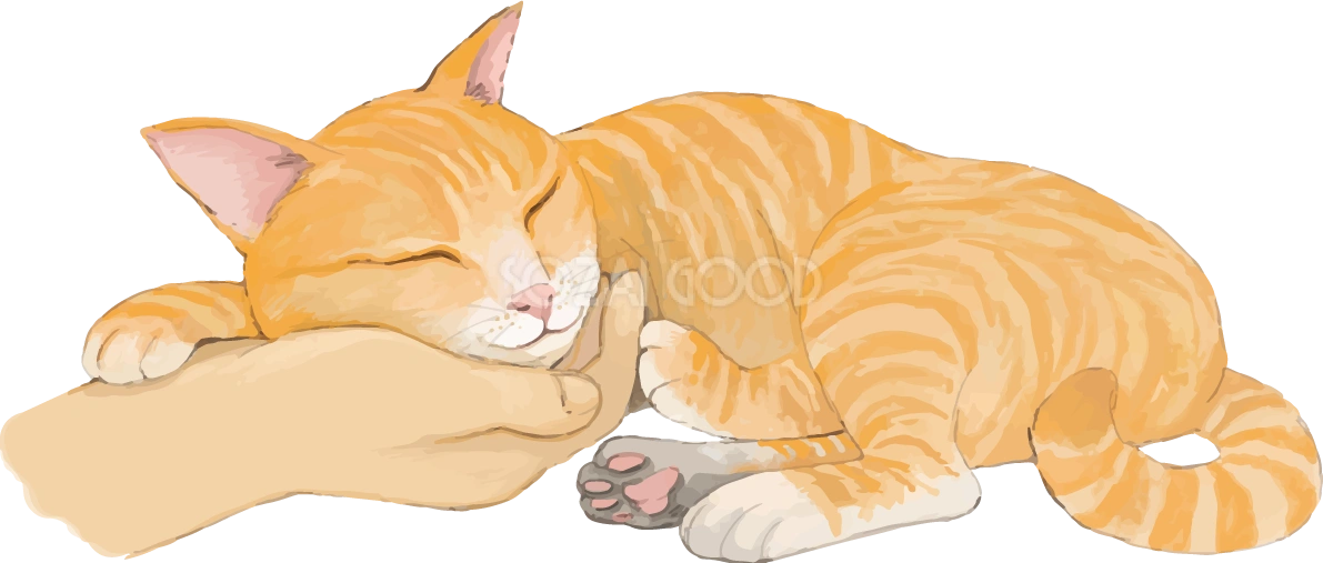 猫(トラ柄の雑種ミックス)構ってほしいリアル無料フリーイラスト83290