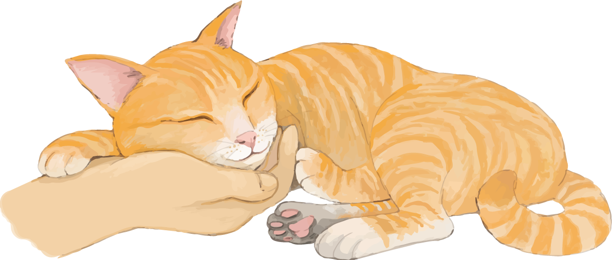 猫(トラ柄の雑種ミックス)構ってほしいリアル無料フリーイラスト83290に写真・文字を入れる