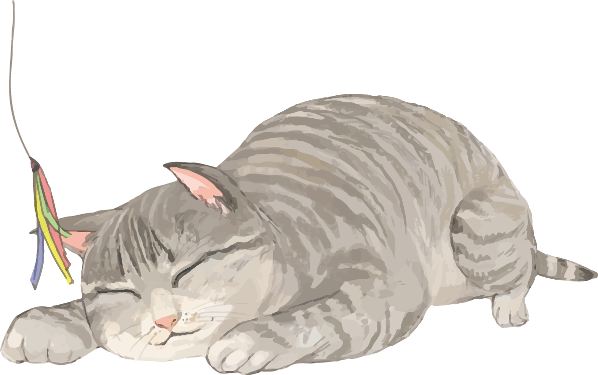 猫(トラ柄の雑種ミックス)テンション低めリアル無料フリーイラスト83291に写真・文字を入れる