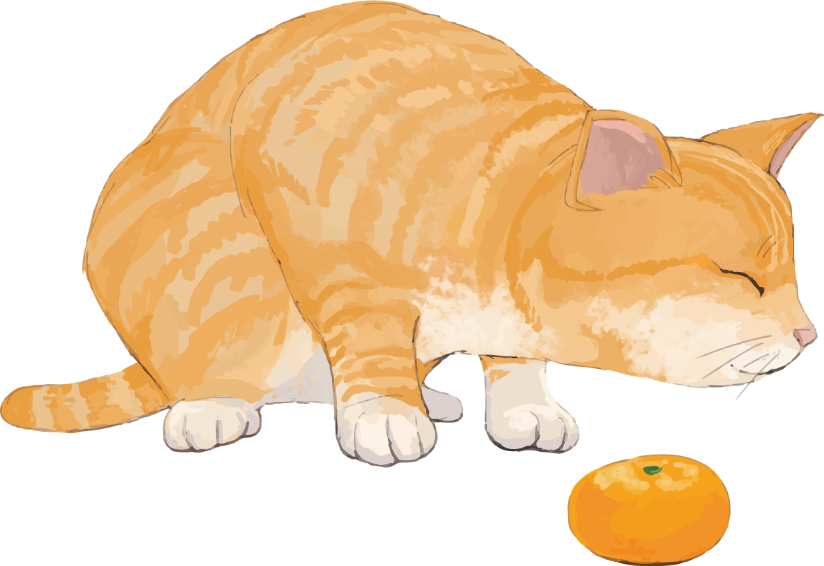 猫(トラ柄の雑種ミックス)ミカンを嫌うリアル無料フリーイラスト83293に写真・文字を入れる