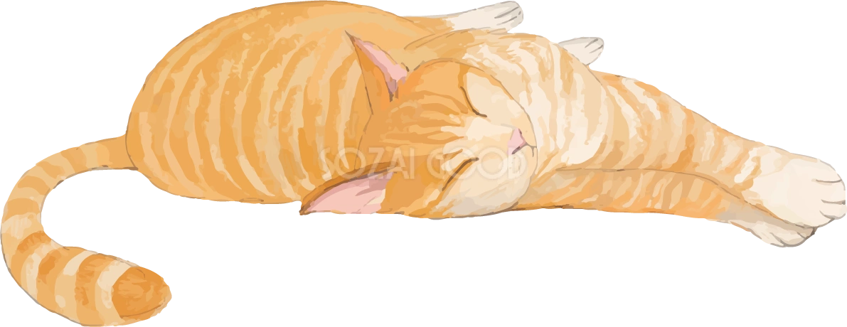 猫(トラ柄の雑種ミックス)リラックスするリアル無料フリーイラスト83294