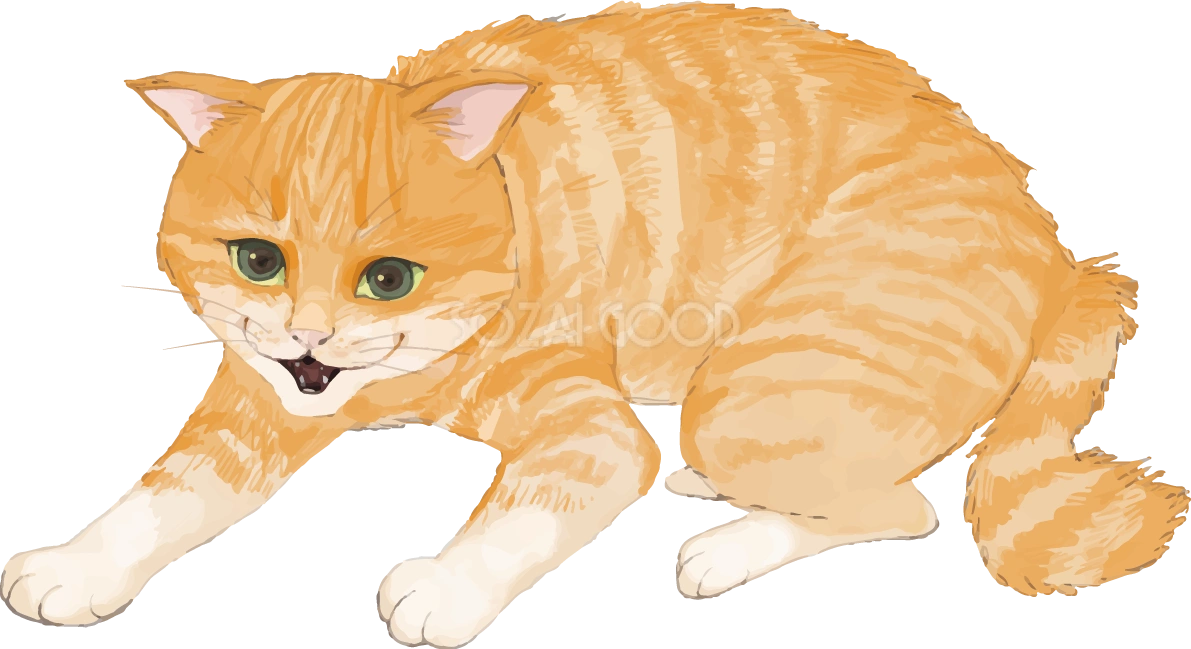 猫(トラ柄の雑種ミックス)「シャー」と威嚇するリアル無料フリーイラスト83295