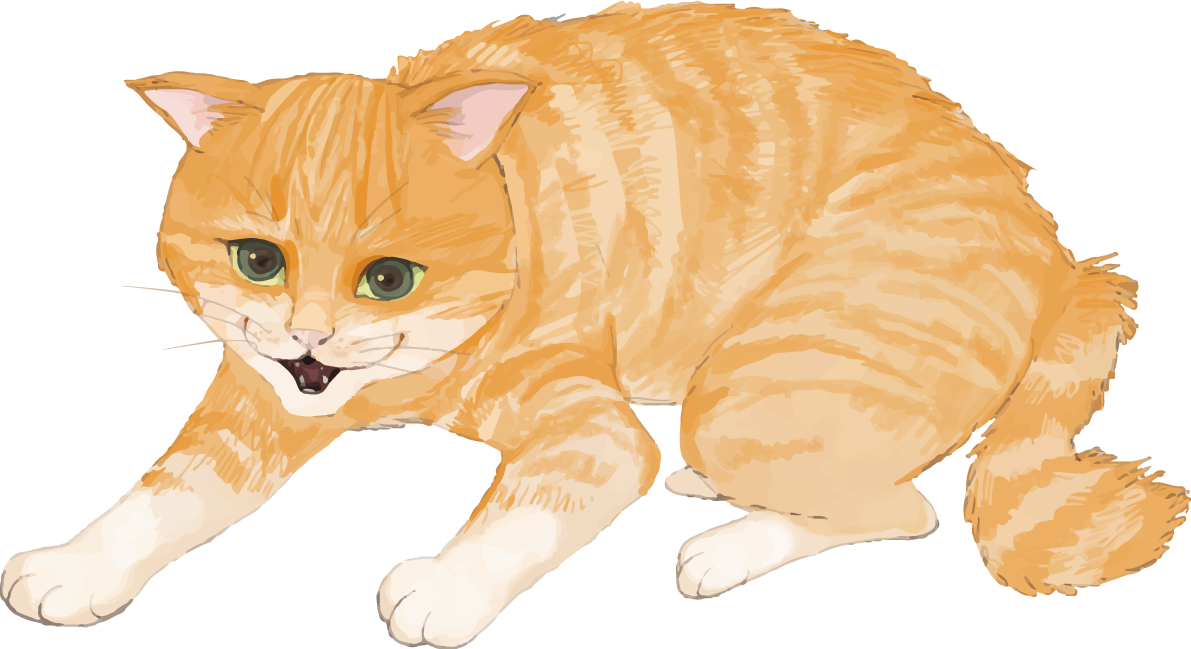 猫(トラ柄の雑種ミックス)「シャー」と威嚇するリアル無料フリーイラスト83295に写真・文字を入れる
