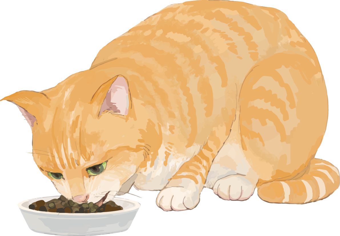 猫(トラ柄の雑種ミックス)餌を食べるリアル無料フリーイラスト83296に写真・文字を入れる