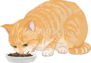 猫(トラ柄の雑種ミックス)餌を食べるリアル無料フリーイラスト83296