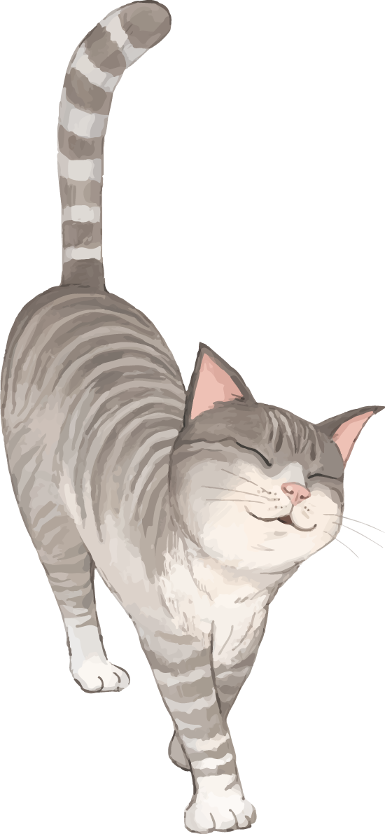 猫(トラ柄の雑種ミックス)嬉しい喜ぶリアル無料フリーイラスト83298に写真・文字を入れる