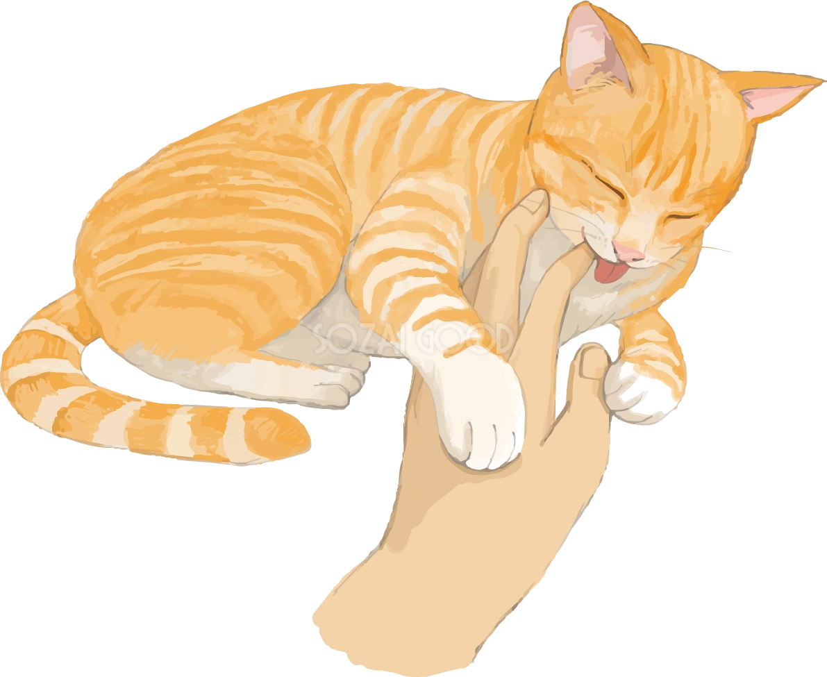 猫(トラ柄の雑種ミックス)飼い主の指を舐めるリアル無料フリーイラスト83303