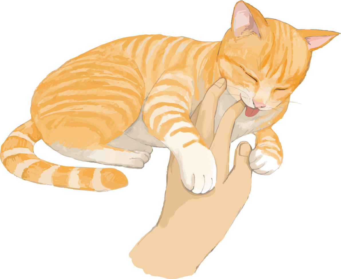猫(トラ柄の雑種ミックス)飼い主の指を舐めるリアル無料フリーイラスト83303に写真・文字を入れる
