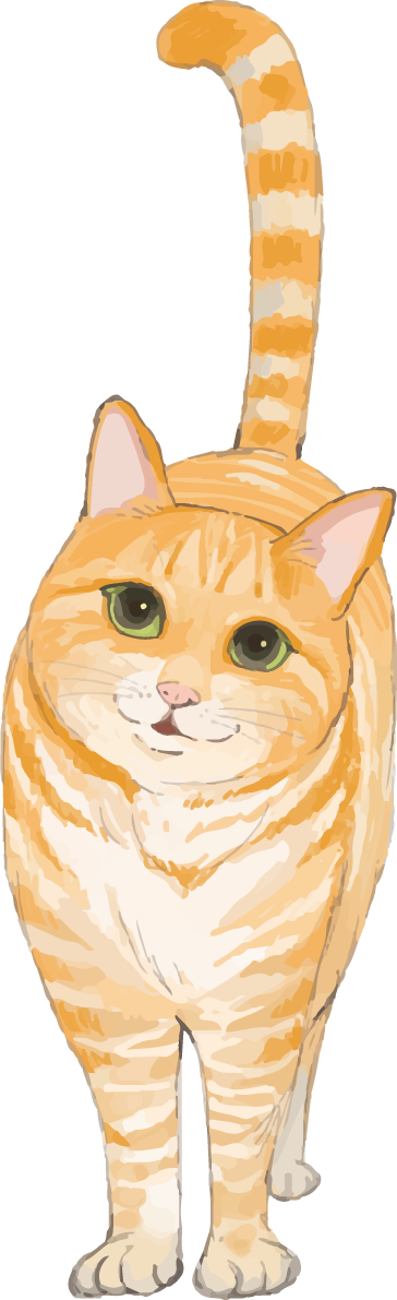 猫(トラ柄の雑種ミックス)尻尾をピンと立てているリアル無料フリーイラスト83305に写真・文字を入れる