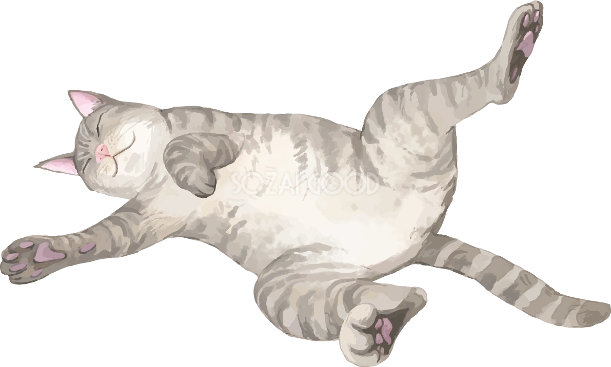 猫(トラ柄の雑種ミックス)寝相が悪いリアル無料フリーイラスト83306