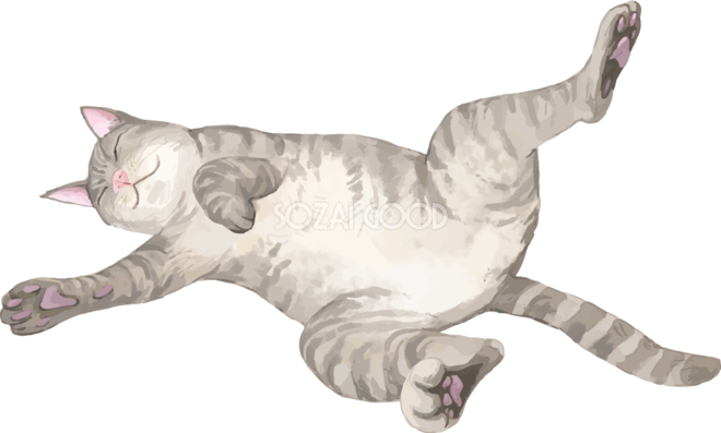 猫 トラ柄の雑種ミックス 寝相が悪いリアル無料フリーイラスト83306
