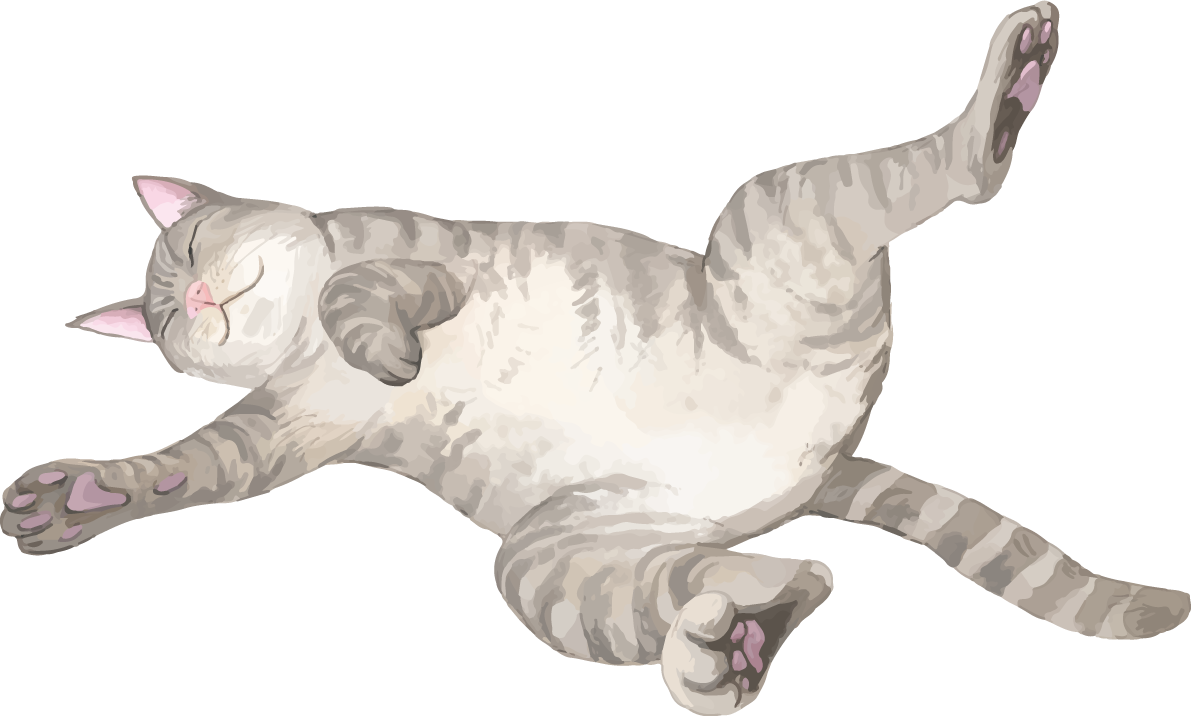 猫(トラ柄の雑種ミックス)寝相が悪いリアル無料フリーイラスト83306に写真・文字を入れる