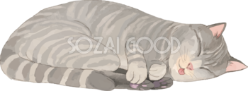 猫(トラ柄の雑種ミックス)舌を出して寝るリアル無料フリーイラスト83309