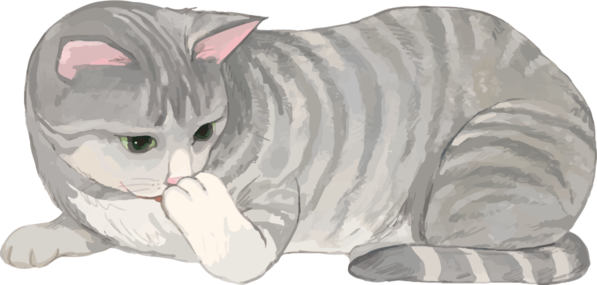猫(トラ柄の雑種ミックス)前足を吸うリアル無料フリーイラスト83310に写真・文字を入れる