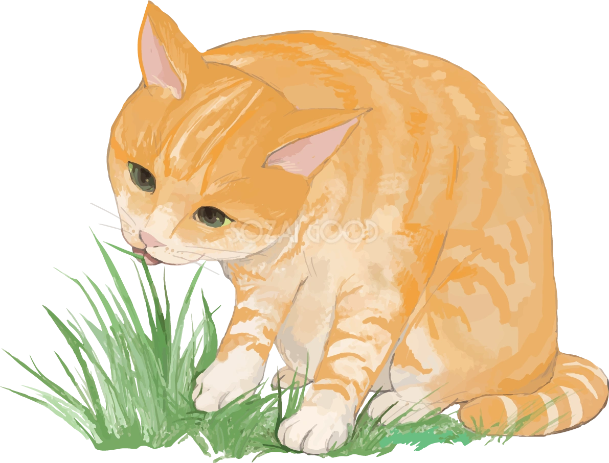 猫(トラ柄の雑種ミックス)草を食べるリアル無料フリーイラスト83311