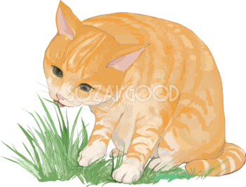 猫(トラ柄の雑種ミックス)草を食べるリアル無料フリーイラスト83311