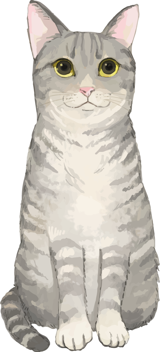 猫(トラ柄の雑種ミックス)瞳孔を開いて見つめるリアル無料フリーイラスト83314に写真・文字を入れる
