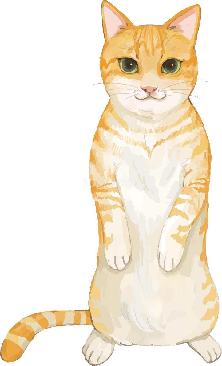 猫(トラ柄の雑種ミックス)二本脚で立つリアル無料フリーイラスト83315