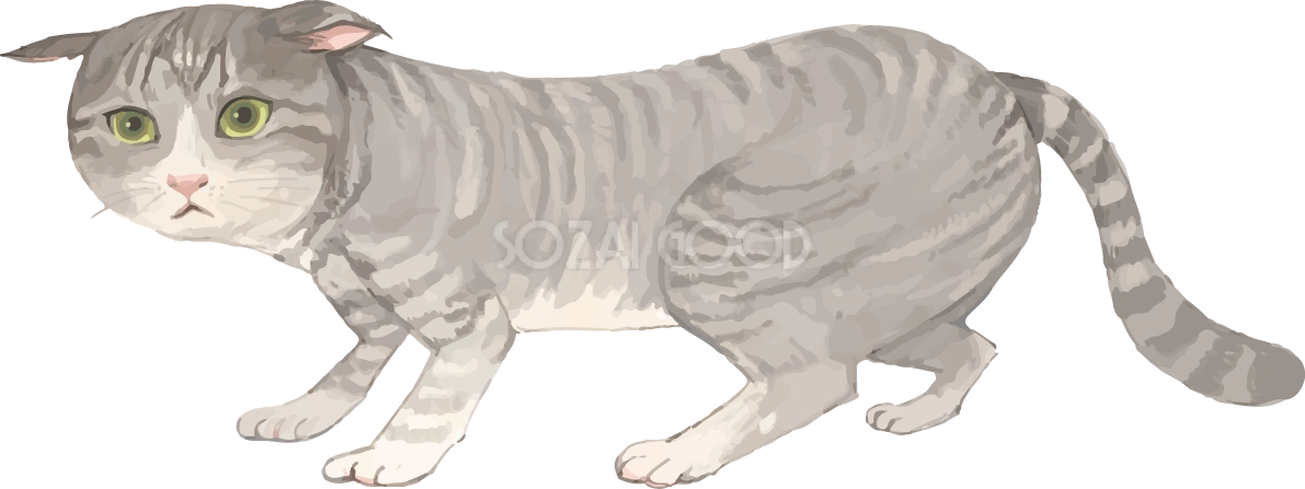 猫(トラ柄の雑種ミックス)怖がるリアル無料フリーイラスト83316