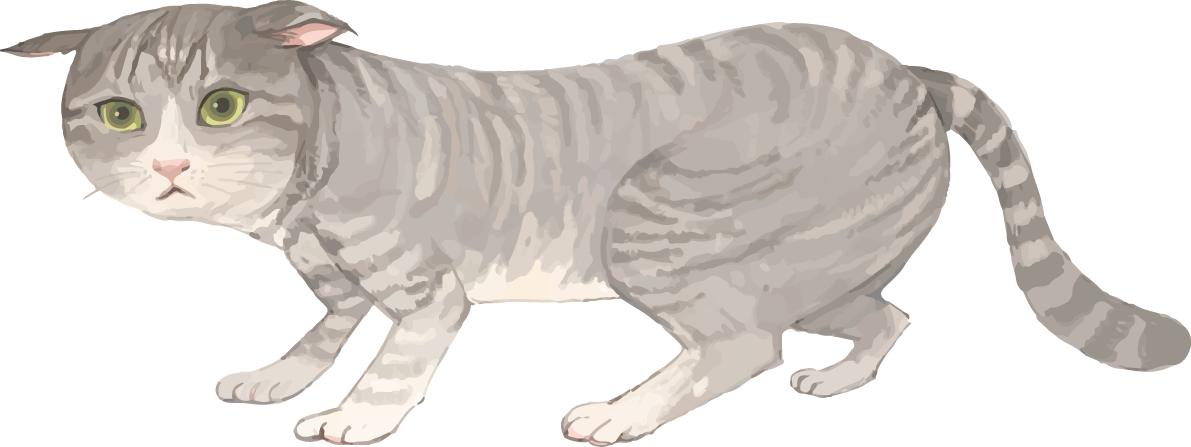 猫(トラ柄の雑種ミックス)怖がるリアル無料フリーイラスト83316に写真・文字を入れる
