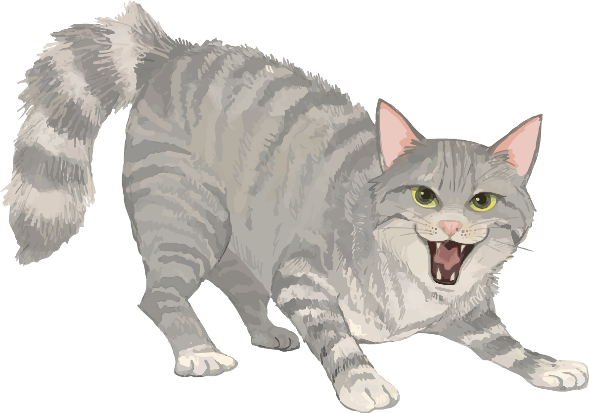 猫(トラ柄の雑種ミックス)毛を逆立て「シャー」と歯を見せて怒るリアル無料フリーイラスト83318に写真・文字を入れる