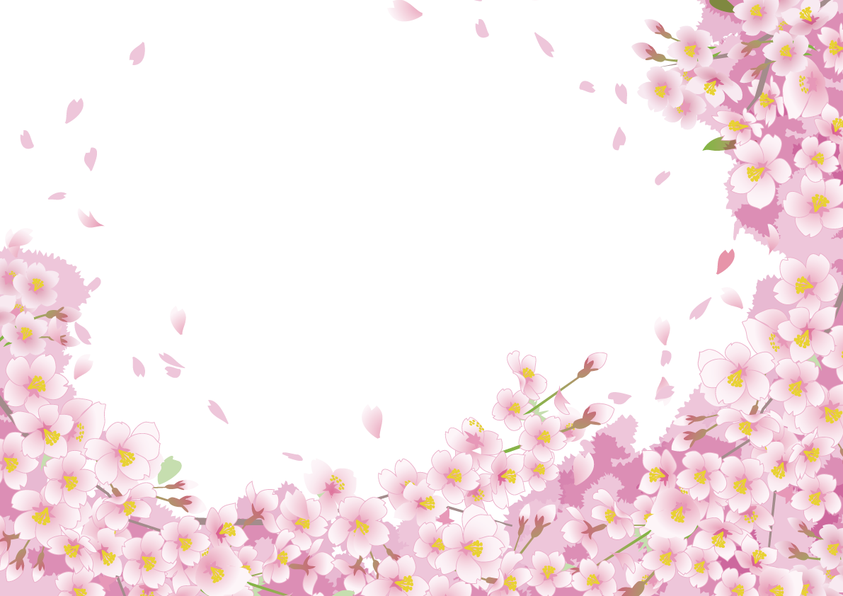 背景無しの桜満開の背景フリー無料イラスト83326に写真・文字を入れる