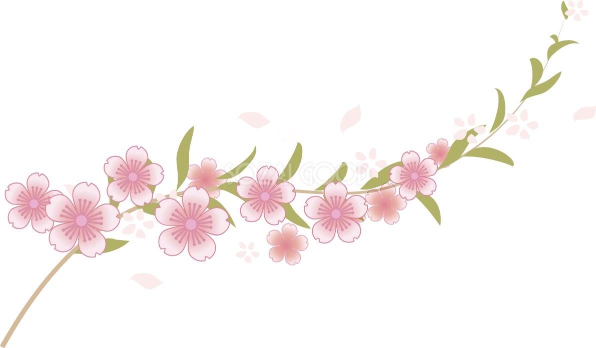 美しく上品に伸びる桜の枝フリー無料イラスト83327