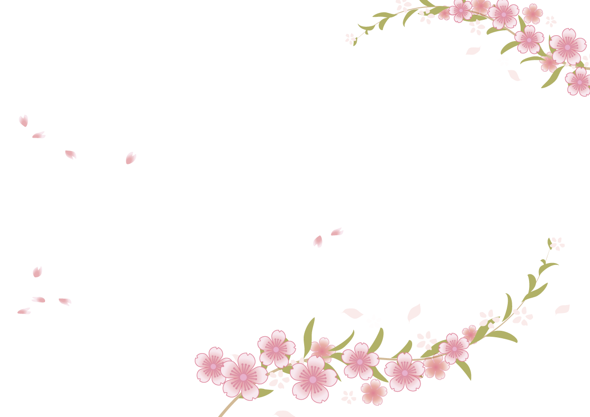 綺麗な桜から舞う気品溢れる桜の花びら背景なし無料フリーイラスト83329に写真・文字を入れる