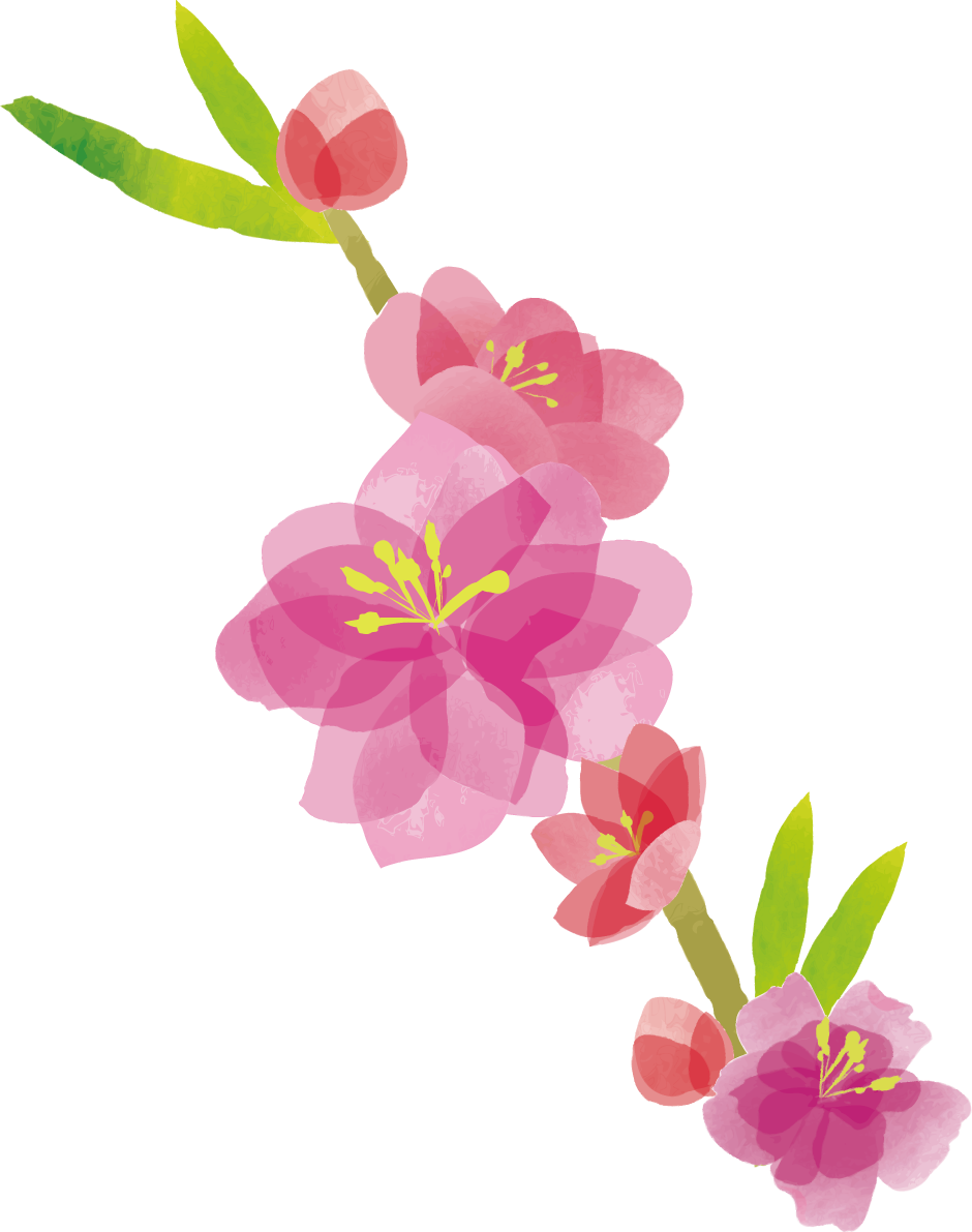 桃の花-ひな祭り無料フリーイラスト83335に写真・文字を入れる