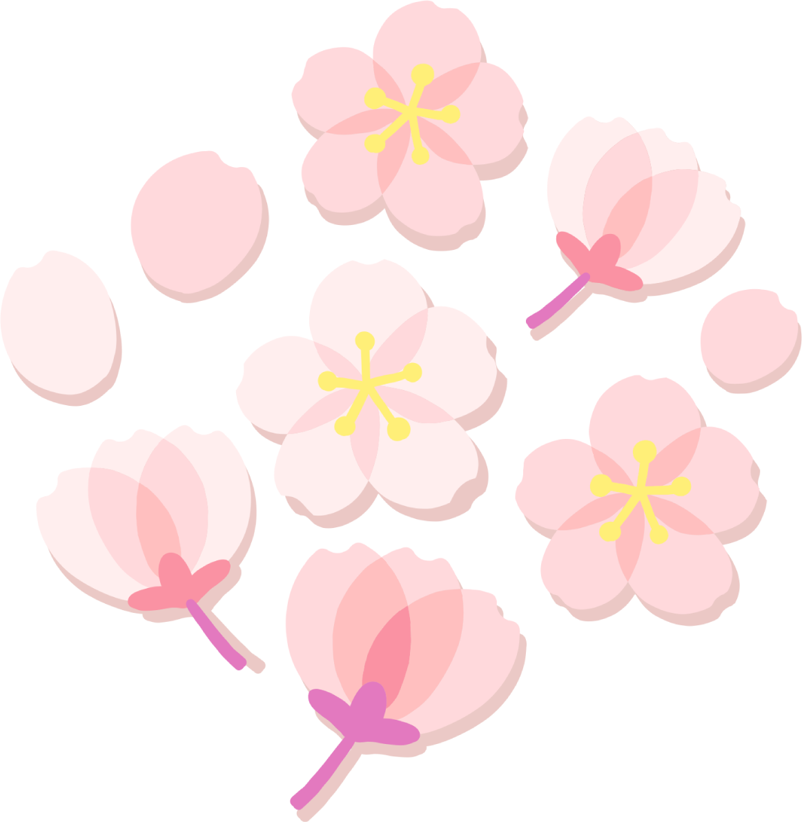 かわいい桜の花の押し花風の開花イラスト無料(フリー)83339に写真・文字を入れる