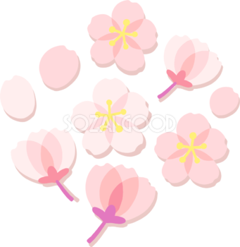 かわいい桜の花の押し花風の開花イラスト無料 フリー 339 素材good