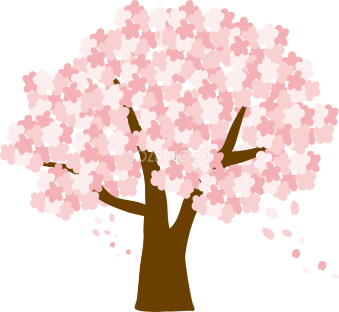 Japan Image 桜の木 イラスト