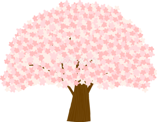 かわいい桜の樹齢100年の一本の大木イラスト無料 フリー のコピー345 素材good