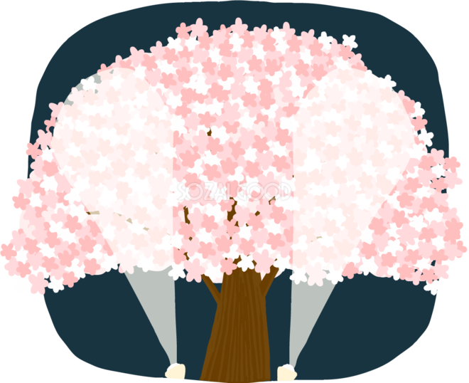 かわいい夜桜の大木がライトアップされるイラスト無料 フリー 83346