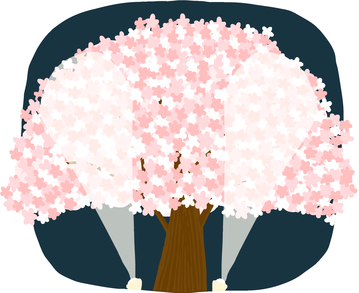 かわいい夜桜の大木がライトアップされるイラスト無料(フリー)83346に写真・文字を入れる