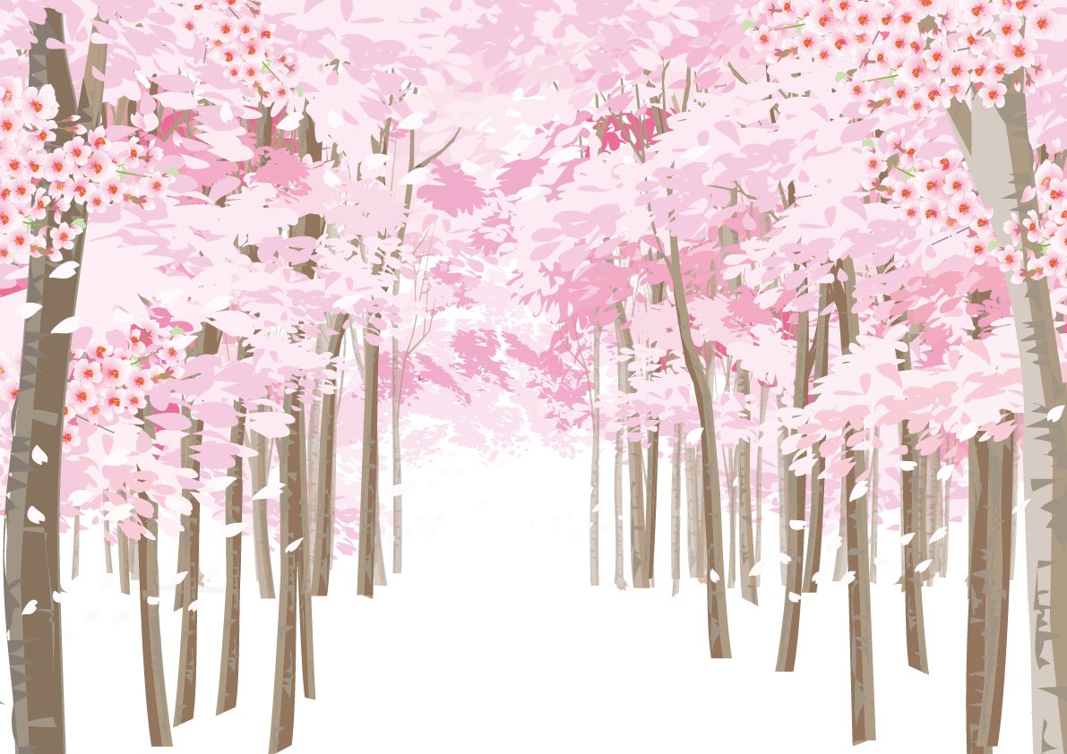 左右に満開の桜の木と中央に道を通る背景なし無料フリーイラスト83349に写真・文字を入れる
