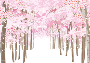 桜の背景イラスト無料フリー 素材good