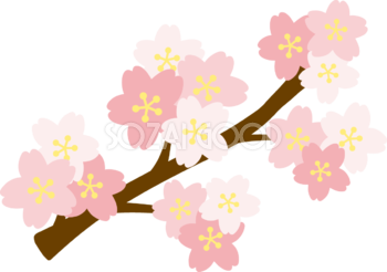 かわいい咲いている桜の花イラスト無料(フリー)83356