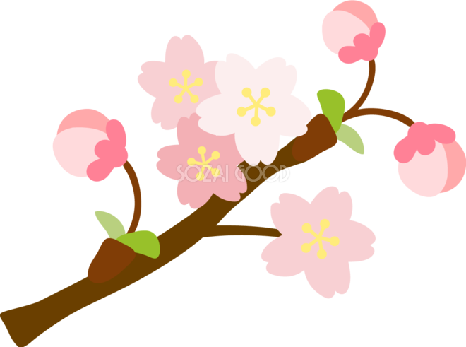 かわいい咲き始めの洋風桜イラスト無料 フリー 83357 素材good