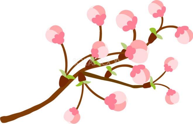 かわいい桜の花つぼみの開花イラスト無料 フリー 83358 素材good