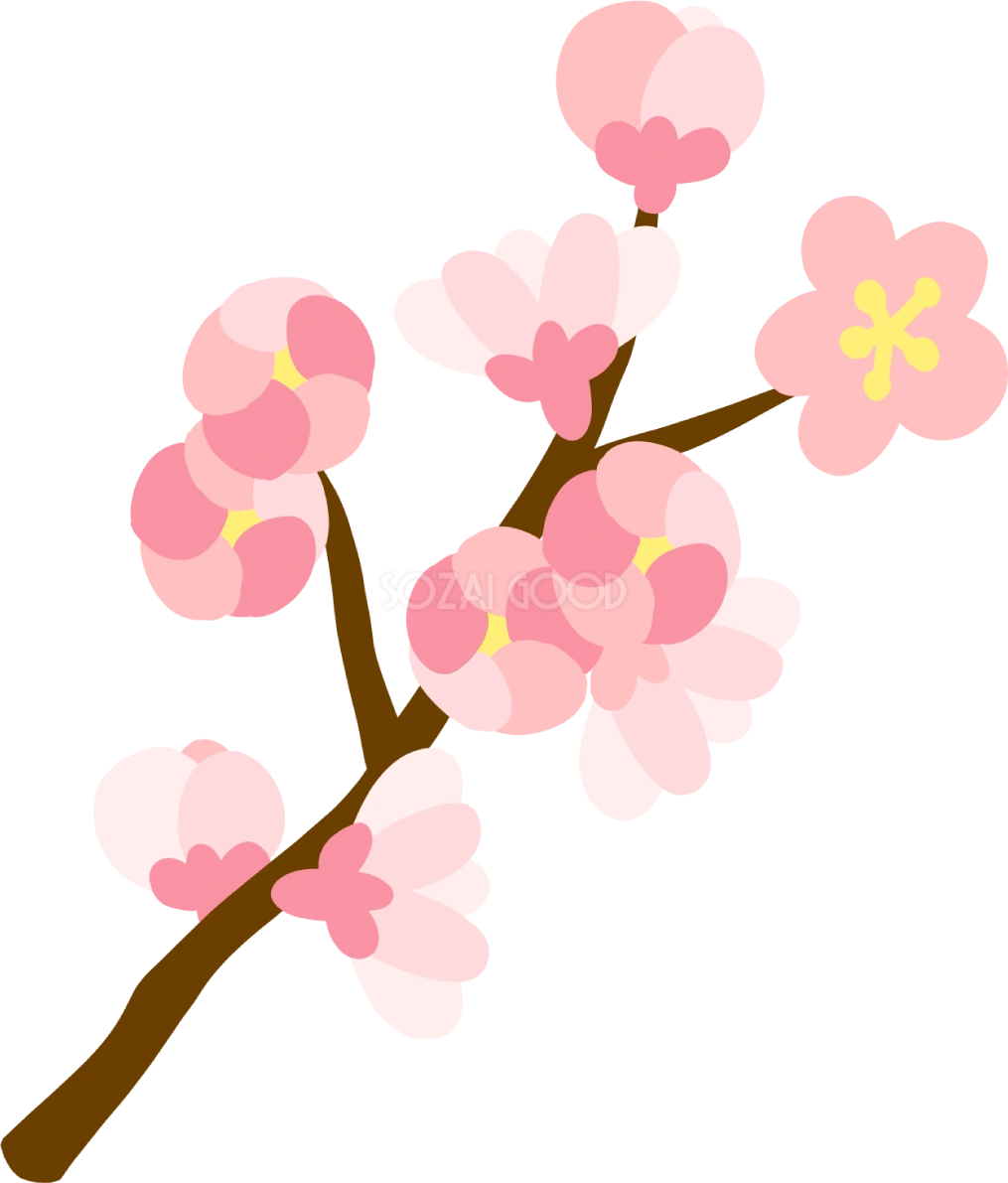 かわいい桜の枝に花が開きかけているの蕾の開花イラスト無料(フリー)83383