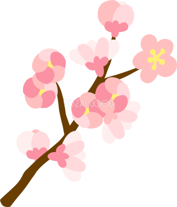 かわいい桜の枝に花が開きかけているの蕾の開花イラスト無料 フリー 3 素材good