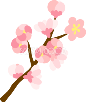 最高可愛い 桜 枝 イラスト 最高の動物画像