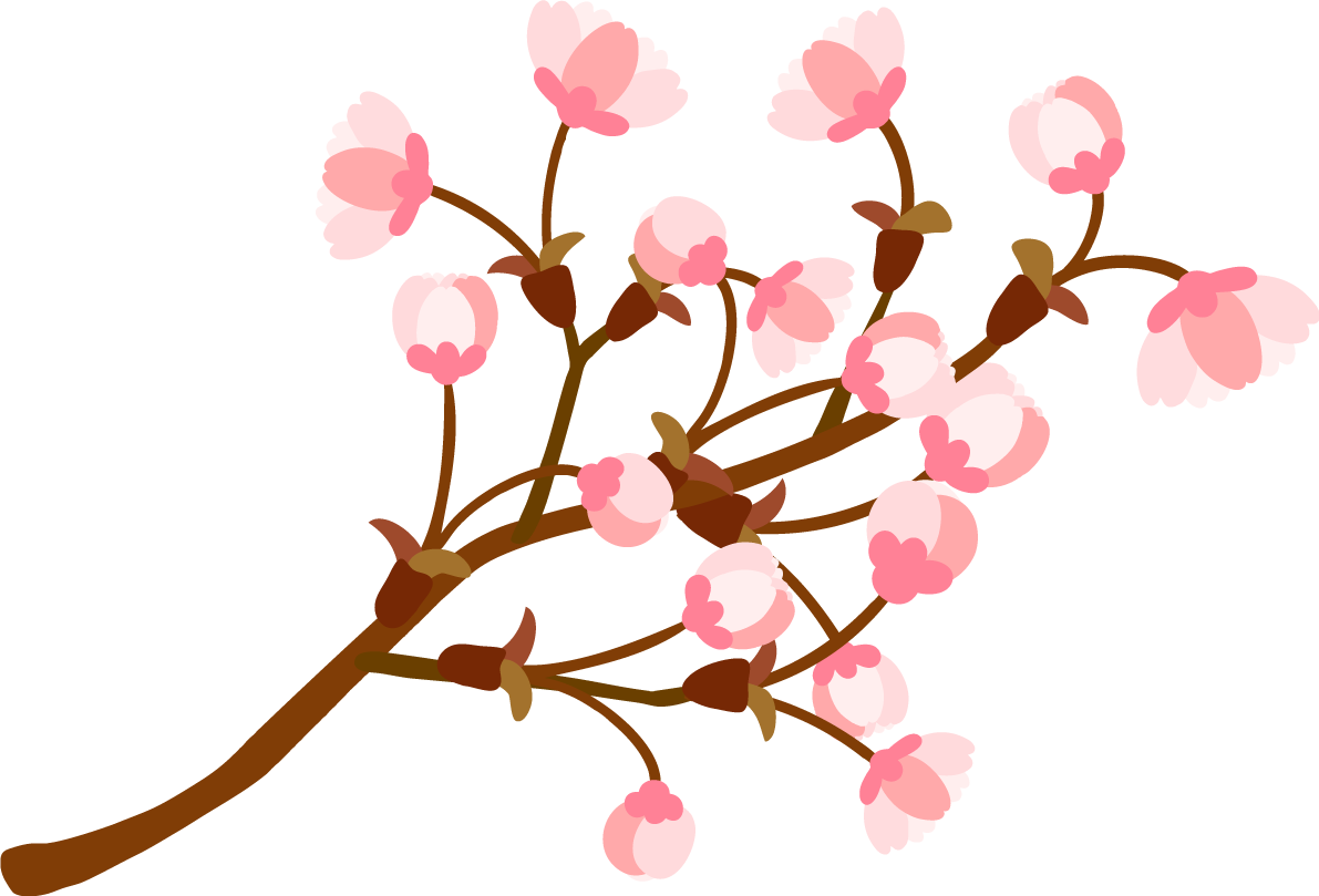 枝多めのかわいい桜の花が開きかけている蕾の開花イラスト無料(フリー)83384に写真・文字を入れる
